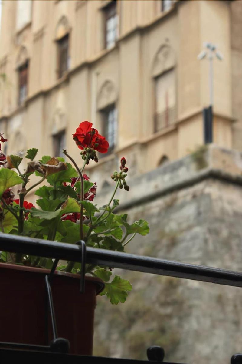 B&B "Al Bastione Normanno Παλέρμο Εξωτερικό φωτογραφία